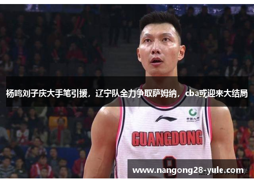 杨鸣刘子庆大手笔引援，辽宁队全力争取萨姆纳，cba或迎来大结局
